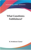 What Constitutes Faithfulness?