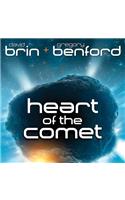 Heart of the Comet