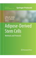 Adipose-Derived Stem Cells