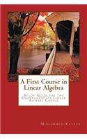 A First Course in Linear Algebra: Study Guide for Undergraduate Linear Algebra Course