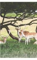 Three Deer By a Tree in a Field Journal: 150 Page Lined Notebook/Diary