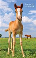 Password Notebook: Internet Address and Password Logbook / Journal / Diary - Cute Foal Cover