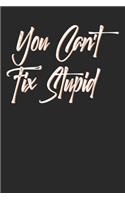 You Can't Fix Stupid