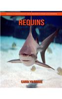 Requins