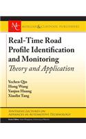 Real-Time Road Profile Identification and Monitoring