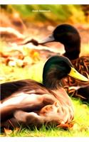 Duck Notebook