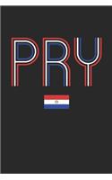Vintage Paraguay Notebook - Paraguay Diary - Retro Paraguayan Flag Journal - Paraguay Gifts