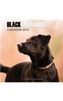 Black Labradors Calendar 2019: 16 Month Calendar