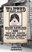 Sealyham Terrier Dog Wanted Poster: Isometric Dot Drawing Paper Notebook Featuring 120 Pages 6x9