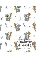 Cuaderno de Apuntes