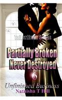Partially Broken Never Destroyed 6