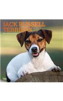 Jack Russell Terriers 2019 Square Foil