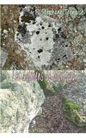 Les dolmens de Montcuq