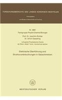 Elektrische Überführung und Strukturuntersuchungen in Salzschmelzen