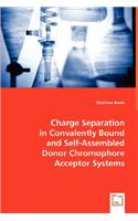 Charge Separation in Convalently Bound and Self-Assembled Donor Chromophore Acceptor Systems