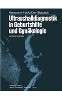 Ultraschalldiagnostik in Geburtshilfe Und Gynäkologie