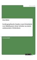 Lexikographische Studien zum Ortsdialekt von Mühlhausen. Erste Schritte zu einem umfassenden Ortslexikon