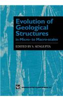 Evolution of Geological Structures in Micro- To Macro-Scales