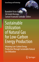 Sustainable Utilization of Natural Gas for Low-Carbon Energy Production