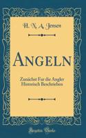 Angeln: Zunächst Fur die Angler Historisch Beschrieben (Classic Reprint)