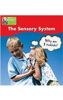 PYP L4 Sensory System single: (Pearson Baccalaureate PrimaryYears Programme)