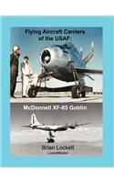 Flying Aircraft Carriers of the USAF