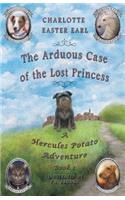 Arduous Case of the Lost Princess