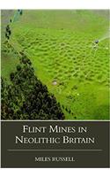 Neolithic Flint Mines in Britain