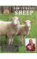 How to Raise Sheep: Everything You Need to Know