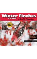 Winter Finches & Friends of North America