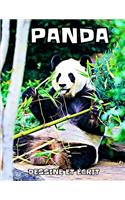 Panda: dessine et écrit