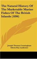 The Natural History Of The Marketable Marine Fishes Of The British Islands (1896)