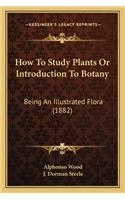 How to Study Plants or Introduction to Botany