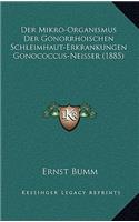 Der Mikro-Organismus Der Gonorrhoischen Schleimhaut-Erkrankungen Gonococcus-Neisser (1885)