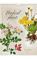Medical Plants 2018