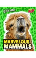 Marvelous Mammals