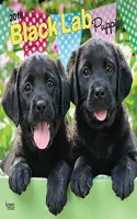 Labrador Retriever Puppies, Black 2018 Wall Calendar