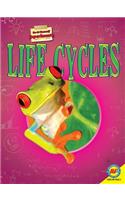 Life Cycles