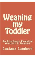 Weaning my Toddler: An Attachment Parenting Approach