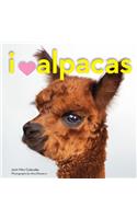 I Heart Alpacas Mini Wall Calendar 2021