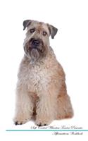 Soft Coated Wheaten Terrier Affirmations Workbook Soft Coated Wheaten Terrier Presents: Positive and Loving Affirmations Workbook. Includes: Mentoring Questions, Guidance, Supporting You.