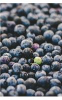 Blueberry Dreams Journal