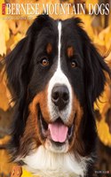 Just Bernese Mountain Dog 2023 Wall Calendar