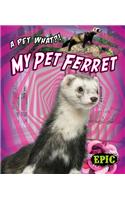 My Pet Ferret