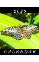 2020 Calendar