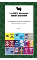 Sco-Shi 20 Milestones