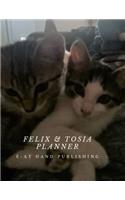 Felix & Tosia Planner: Special place to enter expenses, revenues, savings. Large size, 146 pages(2 Cats)