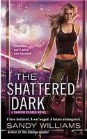 The Shattered Dark