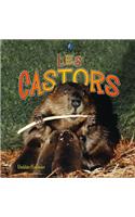 Les Castors