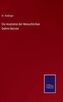 Die Anatomie der Menschlichen Gehirn-Nerven